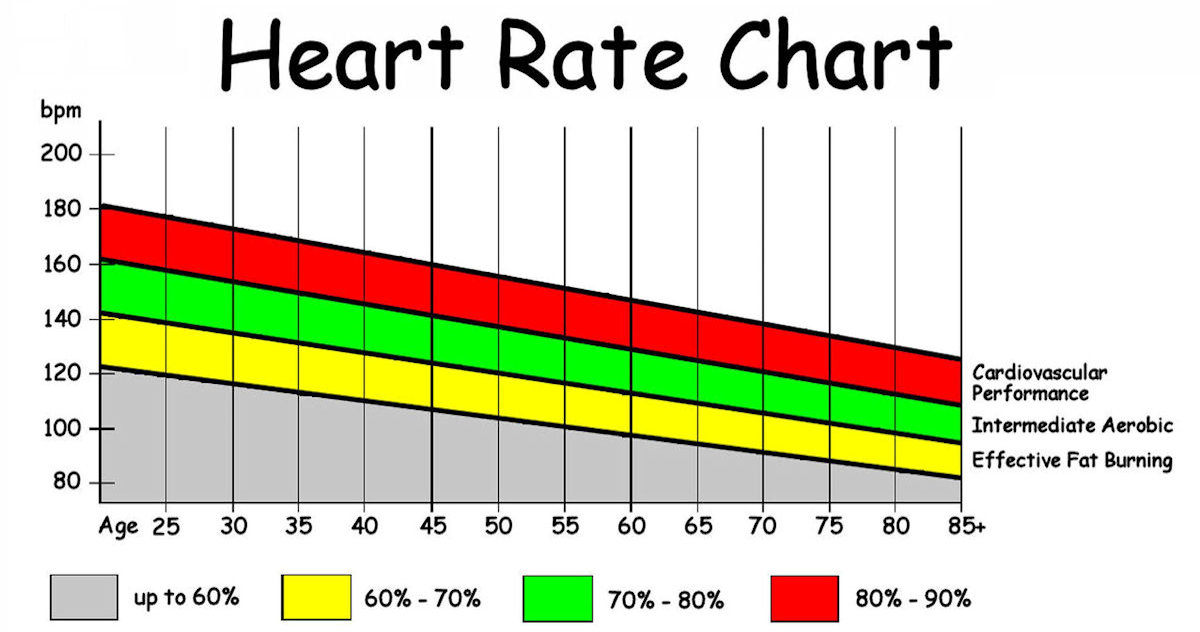 Polar Heart Rate Size Chart