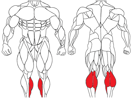 Calf Raise Calf Raise