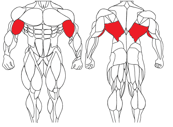 Lat Pulldown