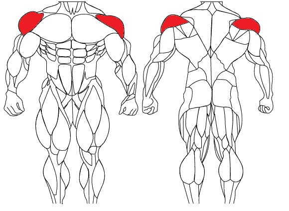 Lateral Raises