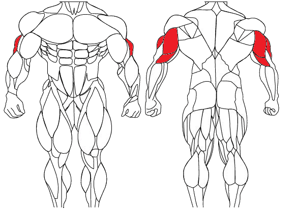 Tricep Pushdown